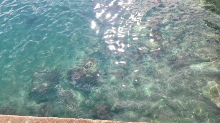 900%EF%BC%BF20260223%EF%BC%BF115545.jpg?type=w773