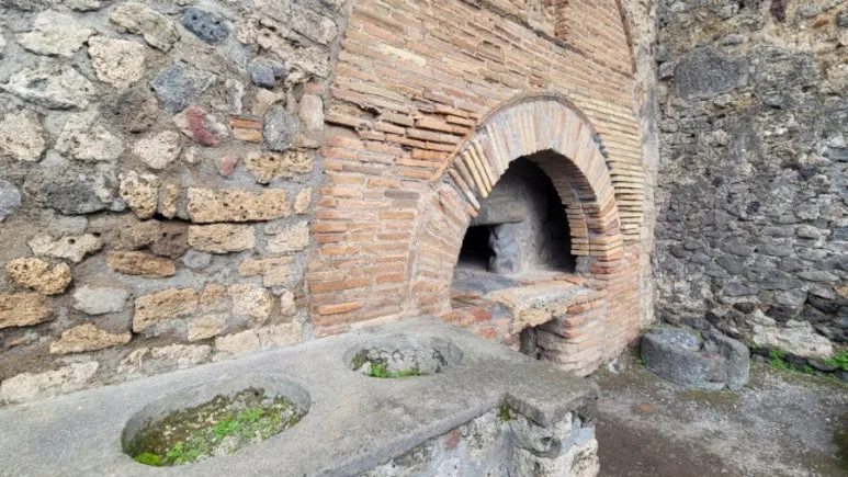 900%EF%BC%BF20260224%EF%BC%BF110219.jpg?type=w773