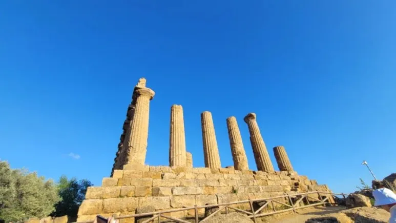 900%EF%BC%BF20260218%EF%BC%BF162733.jpg?type=w773