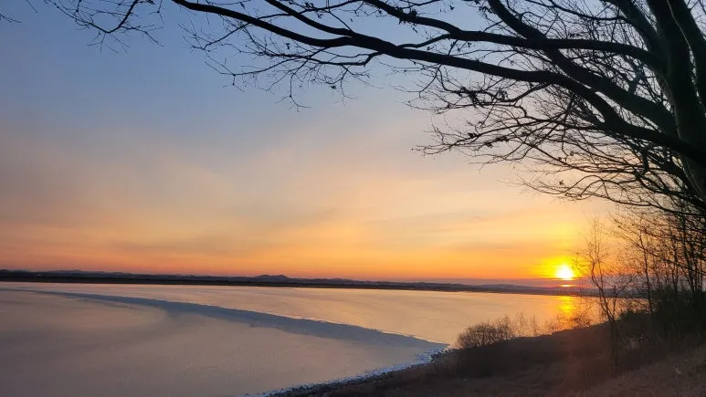 1767222303440.jpg?type=w773