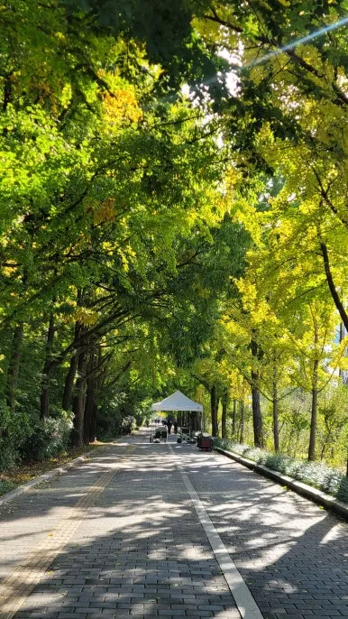 20251102_092707.jpg?type=w386