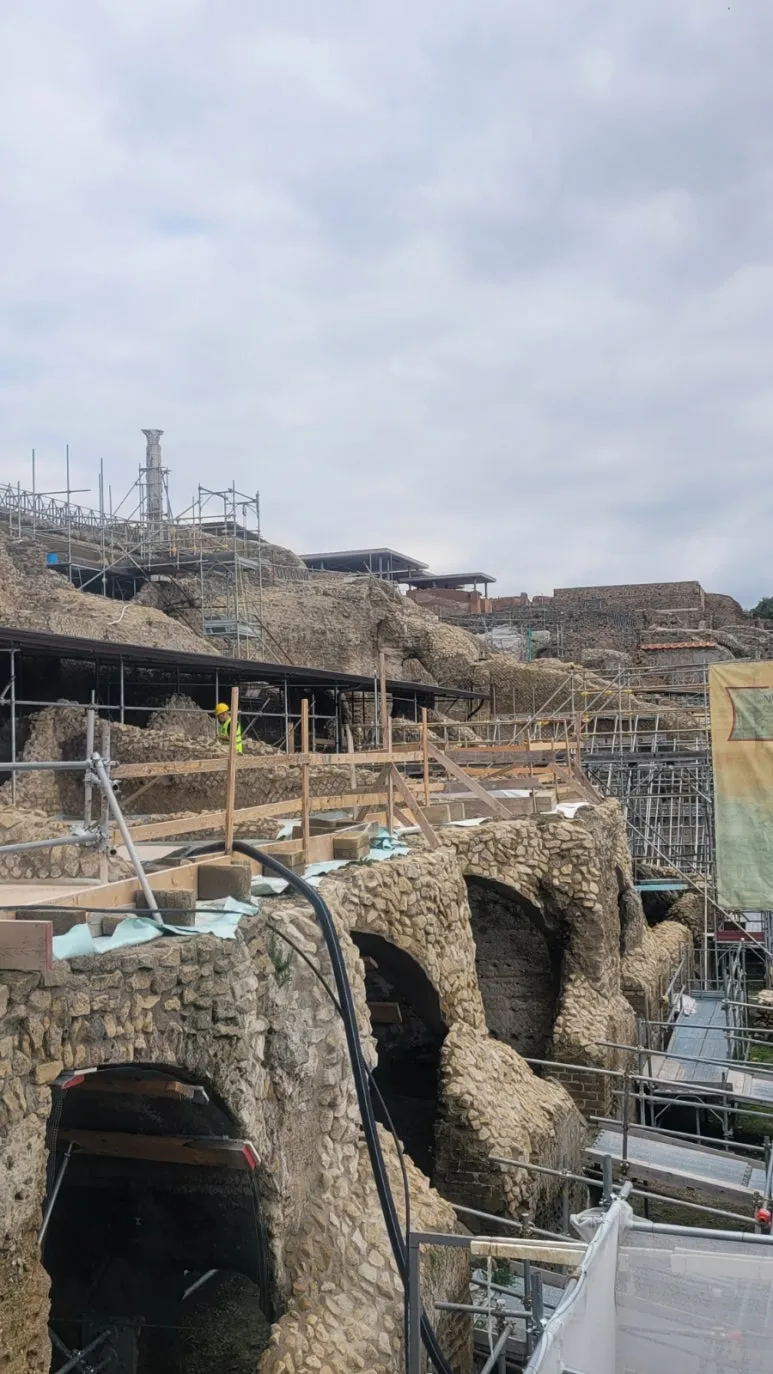 900%EF%BC%BF20260224%EF%BC%BF113938.jpg?type=w773