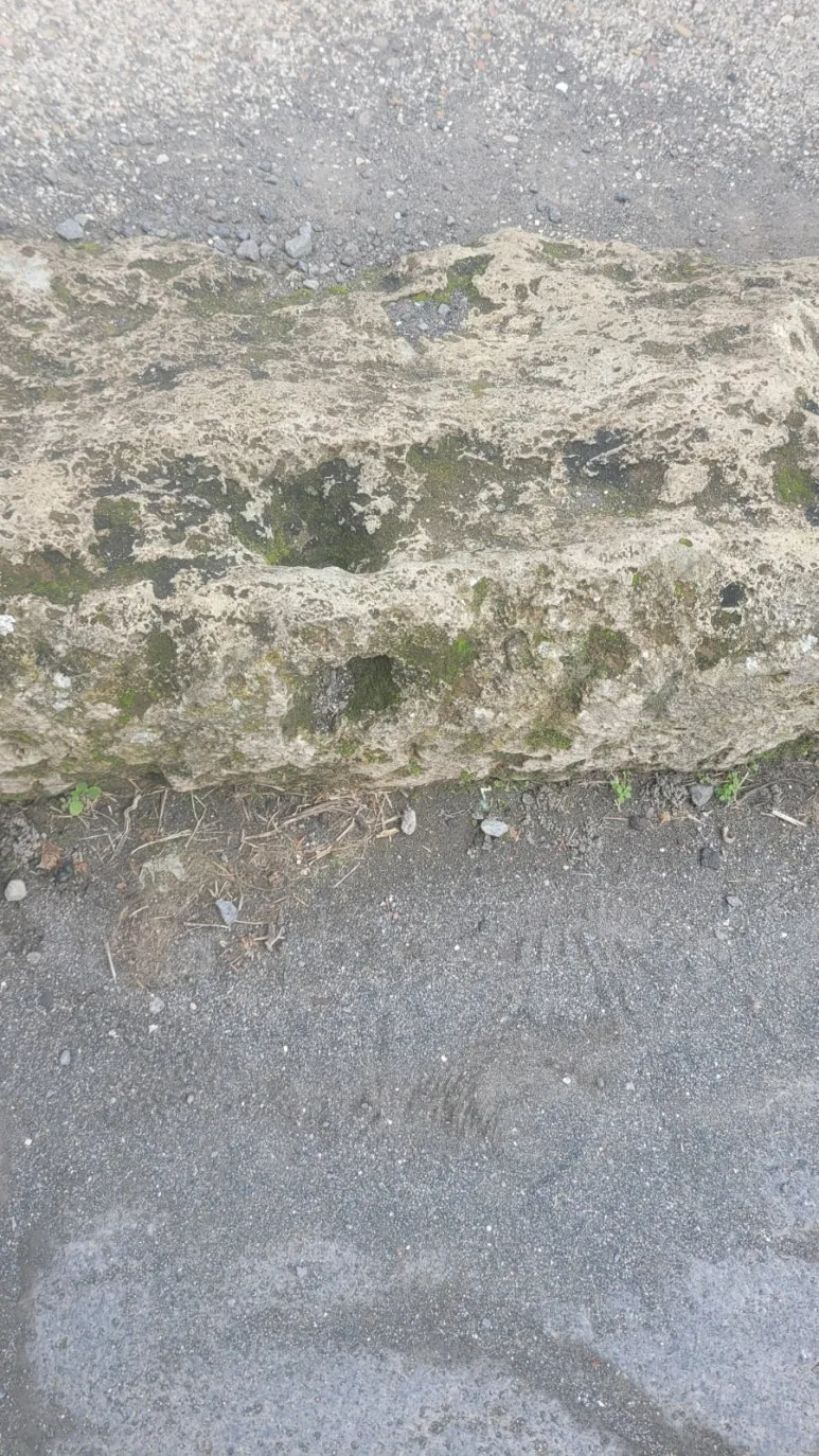 900%EF%BC%BF20260224%EF%BC%BF093659.jpg?type=w773