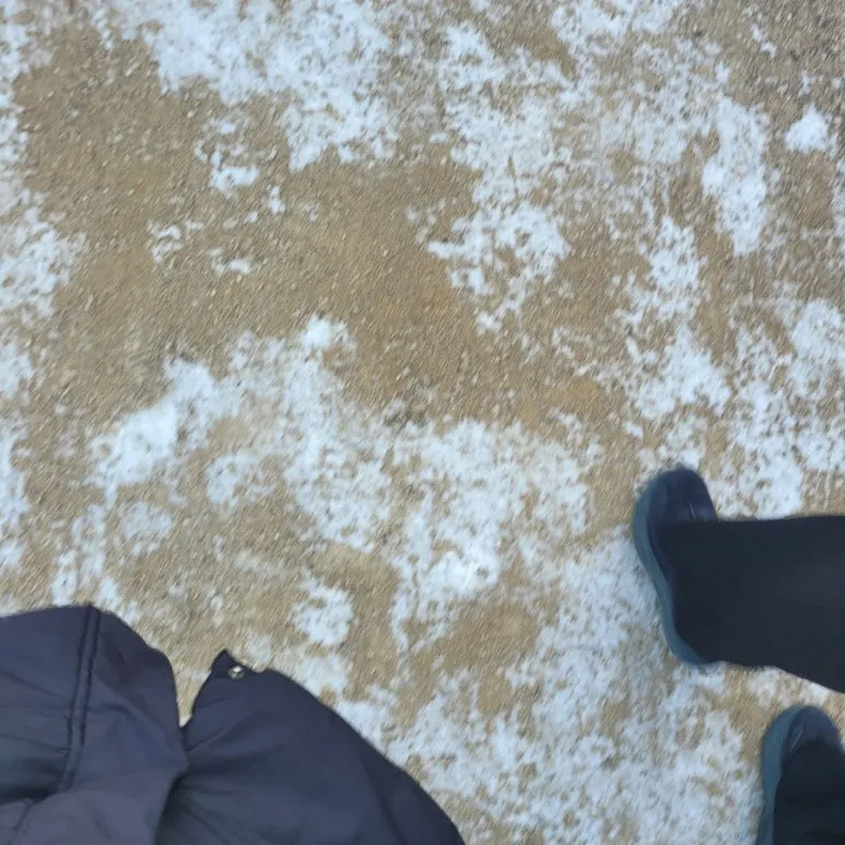 900%EF%BC%BF20260113%EF%BC%BF141918.jpg?type=w773