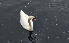 %EC%8A%A4%ED%81%AC%EB%A6%B0%EC%83%B7_2025-12-27_200643.png?type=w773