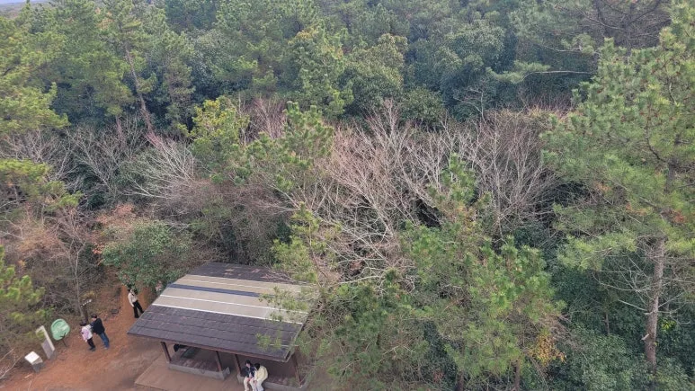 20260118_122531.jpg?type=w773