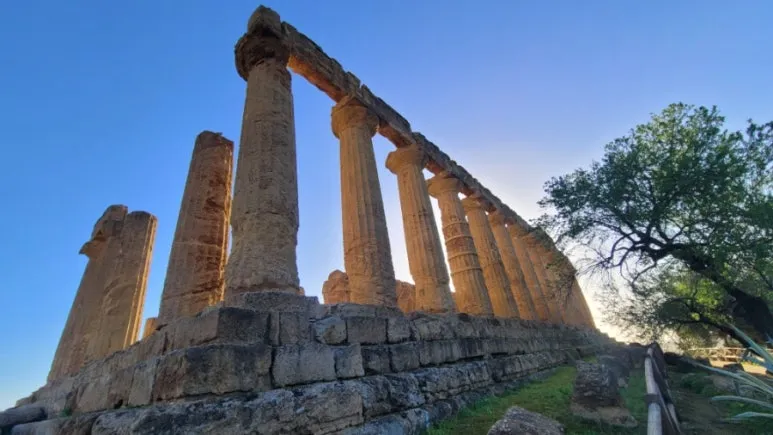 900%EF%BC%BF20260218%EF%BC%BF162437.jpg?type=w773