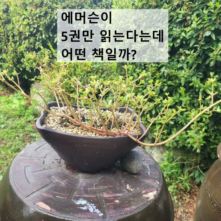 SE-e82b9ce7-7396-4fb6-a133-a8a4ef931f8a.jpg?type=w773