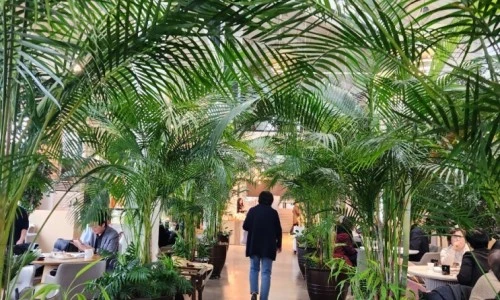 ?src=%22https%3A%2F%2Fblogthumb.pstatic.net%2FMjAyNDExMjBfMTg3%2FMDAxNzMyMDkyOTYzNDgx.bApUedQkuH_WbThgHWquTcQZxGgzfmnQMd3hmqMHXpEg.jws4dMF0LAX4udbWSoje5OLIGg8FPwQFRlhNq5kSVoMg.JPEG%2F900%25A3%25DF20241120%25A3%25DF132724.jpg%3Ftype%3Dw2%22&type=ff500_300