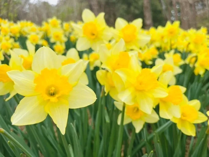 %EB%8B%A4%EC%9A%B4%EB%A1%9C%EB%93%9C-3.jpeg?type=w1600