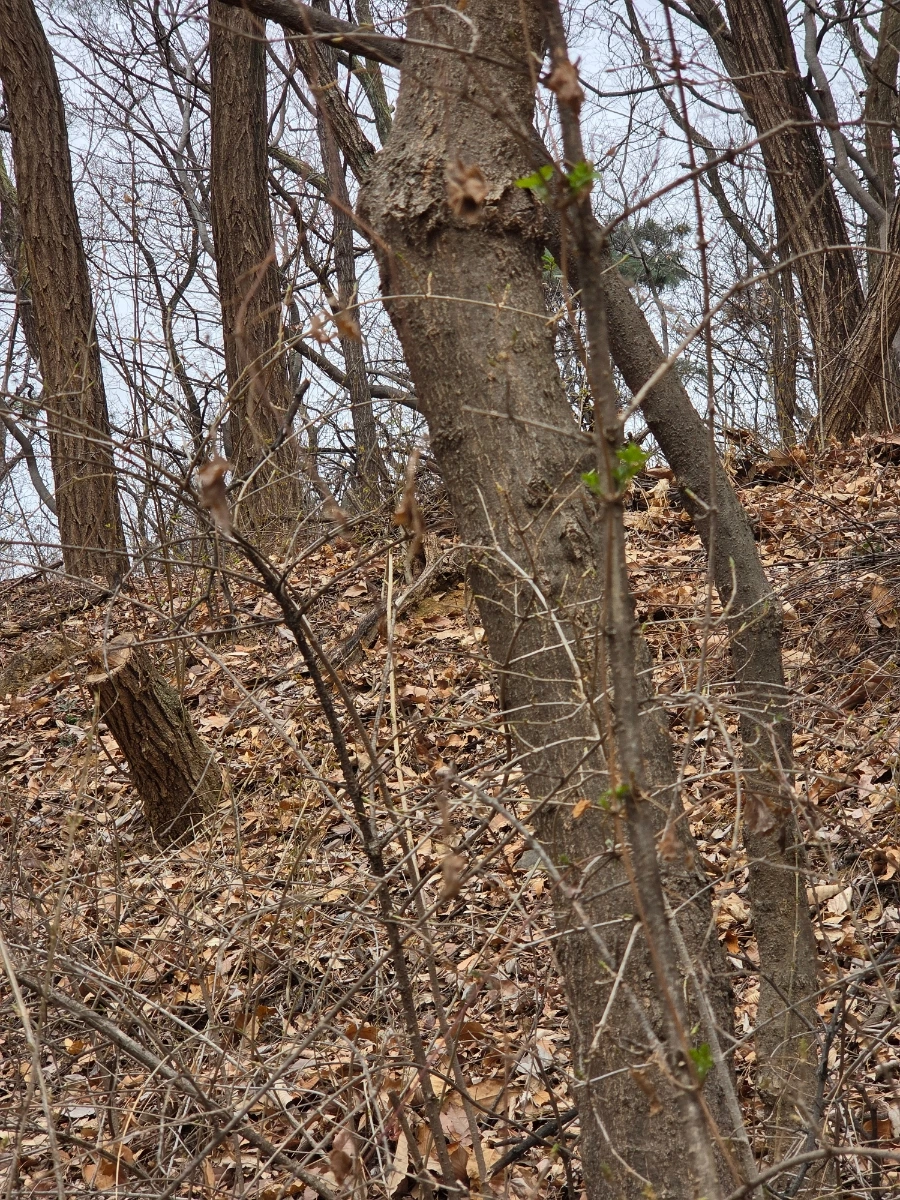 900%EF%BC%BF20260322%EF%BC%BF112832.jpg?type=w1