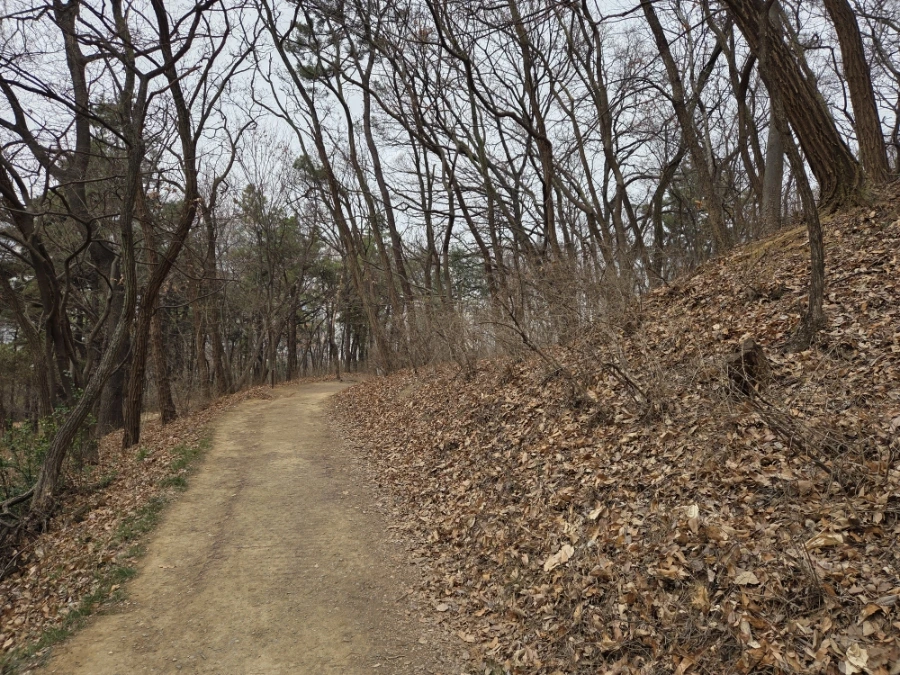 900%EF%BC%BF20260322%EF%BC%BF112849.jpg?type=w1