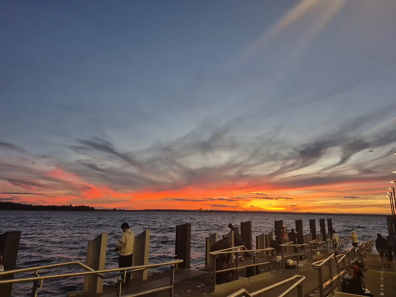 WhatsApp Image 2026-01-30 at 7.17.30 AM.jpeg