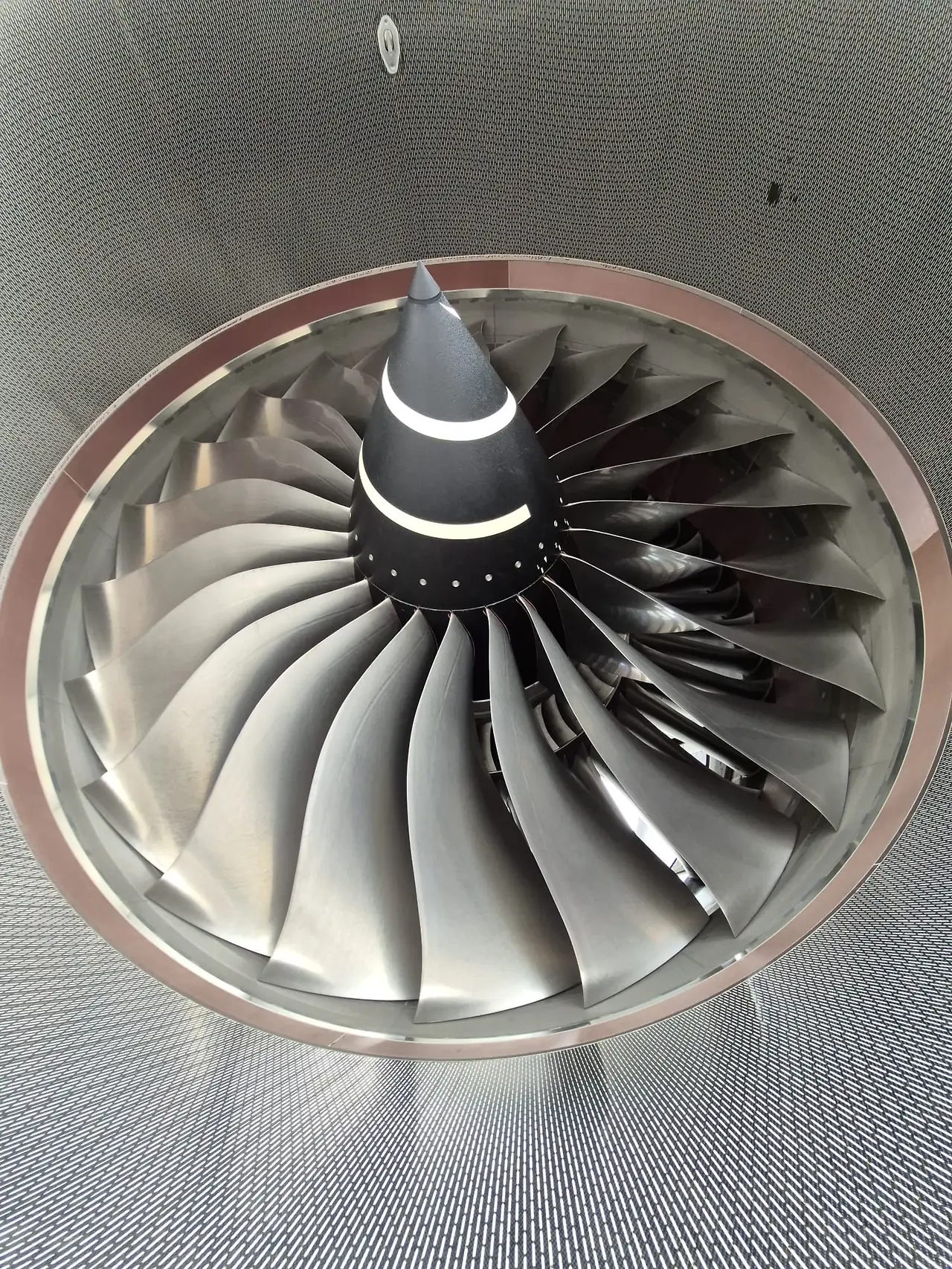 WhatsApp Image 2026-01-26 at 9.33.33 AM.jpeg