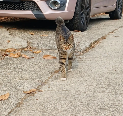 900%EF%BC%BF1768456949346.jpg?type=w773