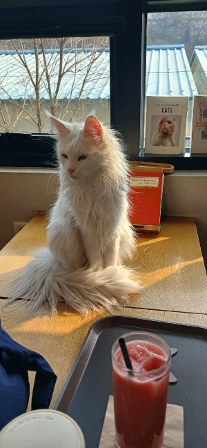 900%EF%BC%BF20260115%EF%BC%BF141348.jpg?type=w773