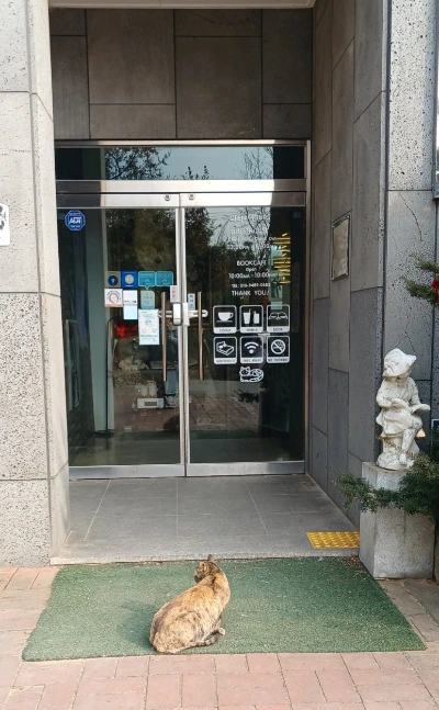 900%EF%BC%BF1768456971100.jpg?type=w773