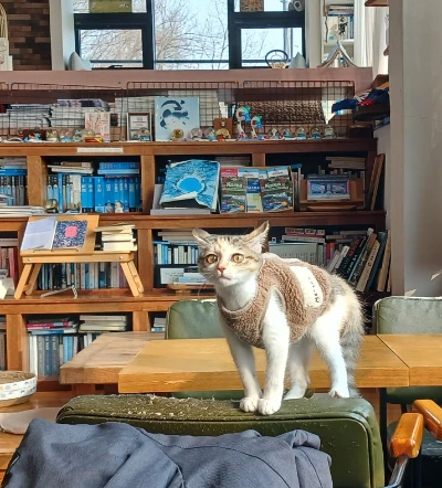 1768456866794.jpg?type=w773