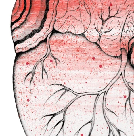 graft_4.jpg?type=w466