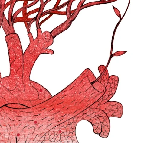 graft_3.jpg?type=w466