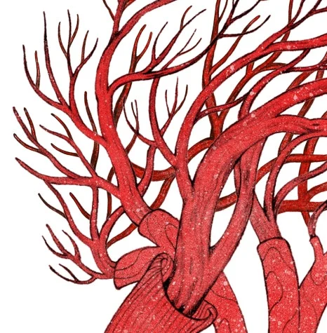 graft_7.jpg?type=w466