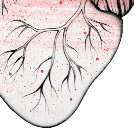 graft_5.jpg?type=w466