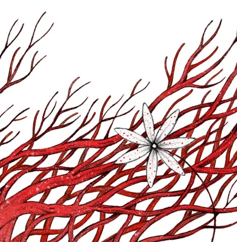 graft_1.jpg?type=w466