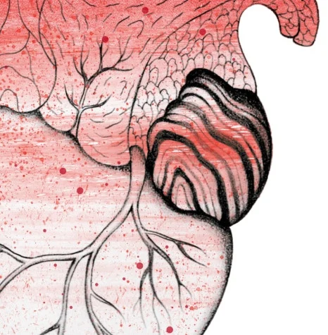 graft_6.jpg?type=w466