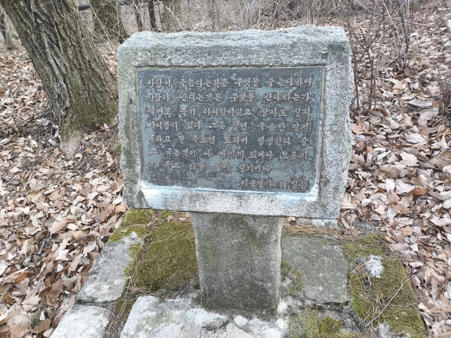 900%EF%BC%BFIMG%EF%BC%BF20260117%EF%BC%BF160334.jpg?type=w1