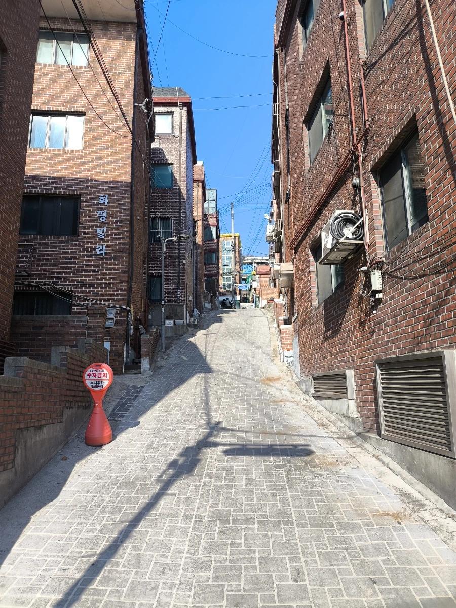 900%EF%BC%BFIMG%EF%BC%BF20260321%EF%BC%BF154145.jpg?type=w1