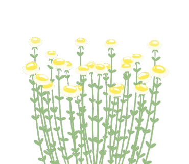 original_16.png?type=p100_100