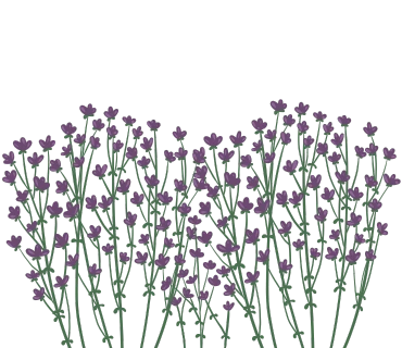 original_20.png?type=p100_100