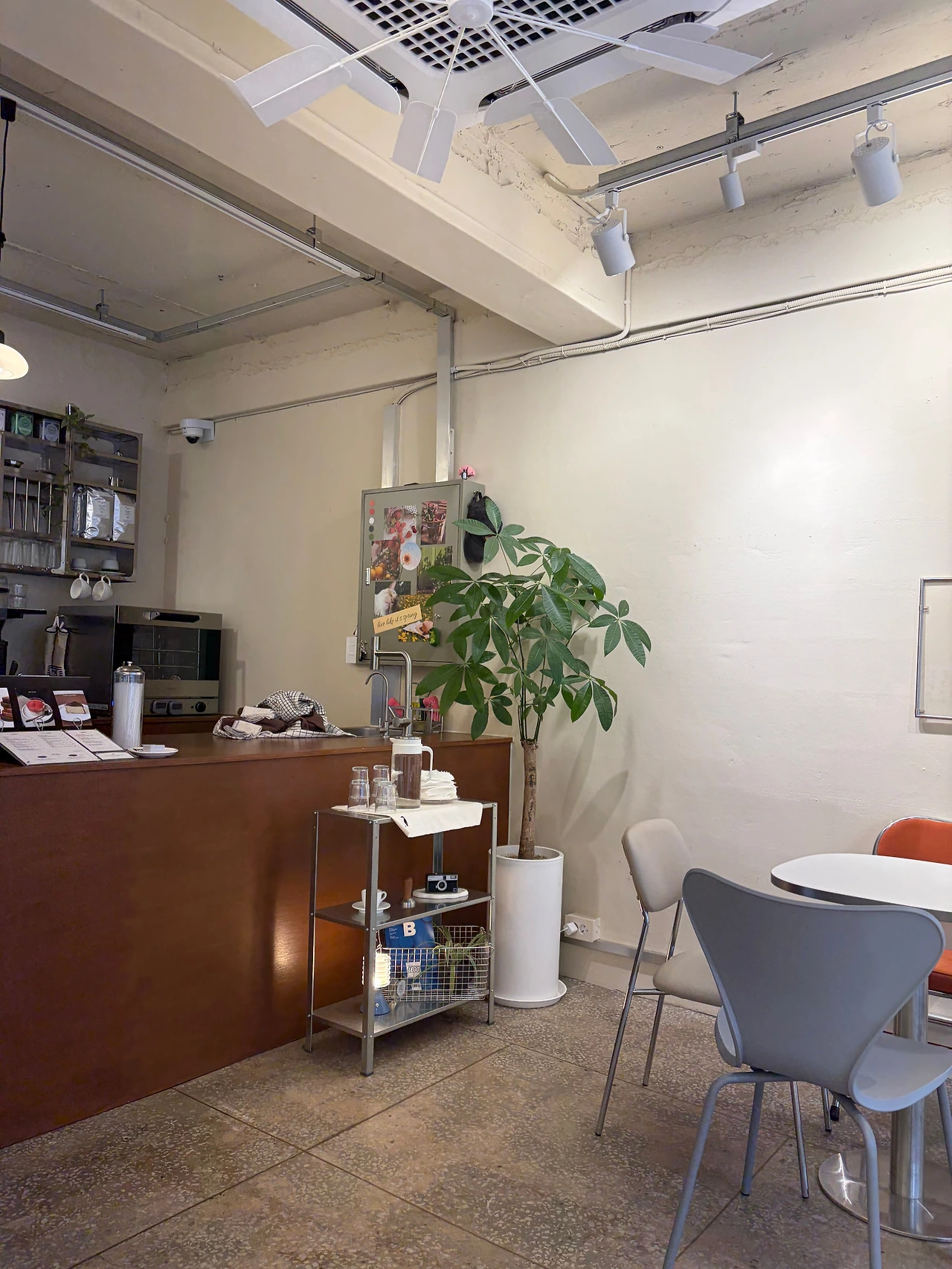 KakaoTalk_Photo_2026-03-14-17-40-35 003.jpeg