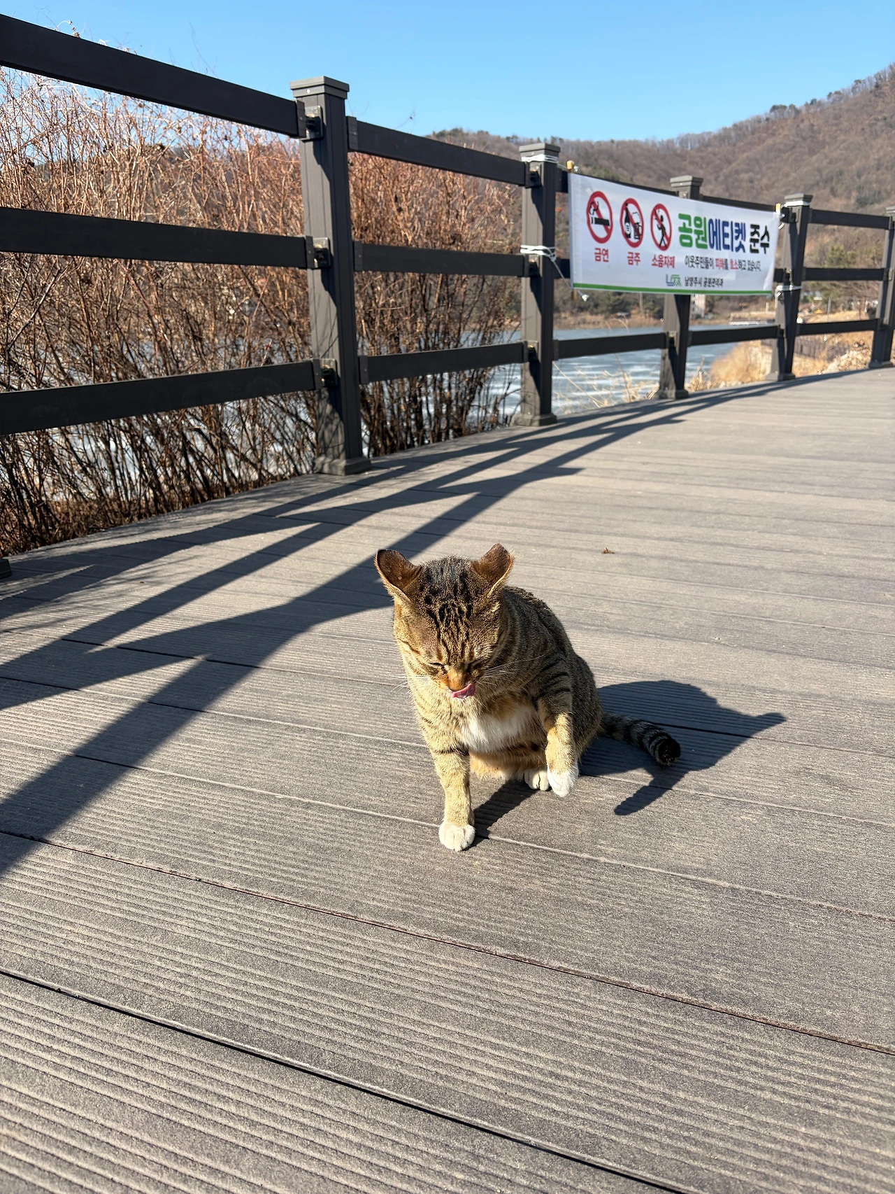 KakaoTalk_Photo_2026-03-14-17-40-36 008.jpeg