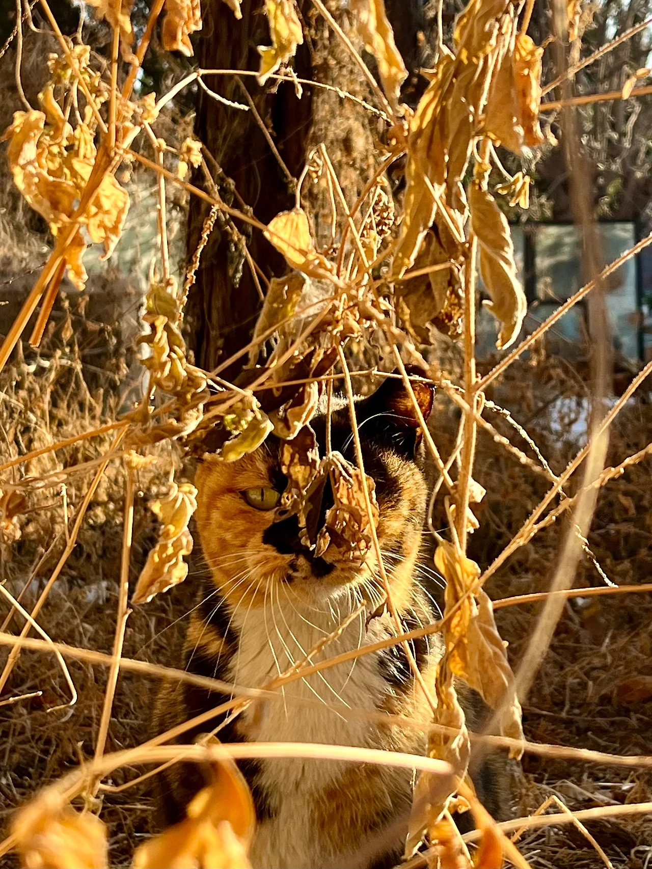 IMG%EF%BC%BF2228.jpg?type=w1600