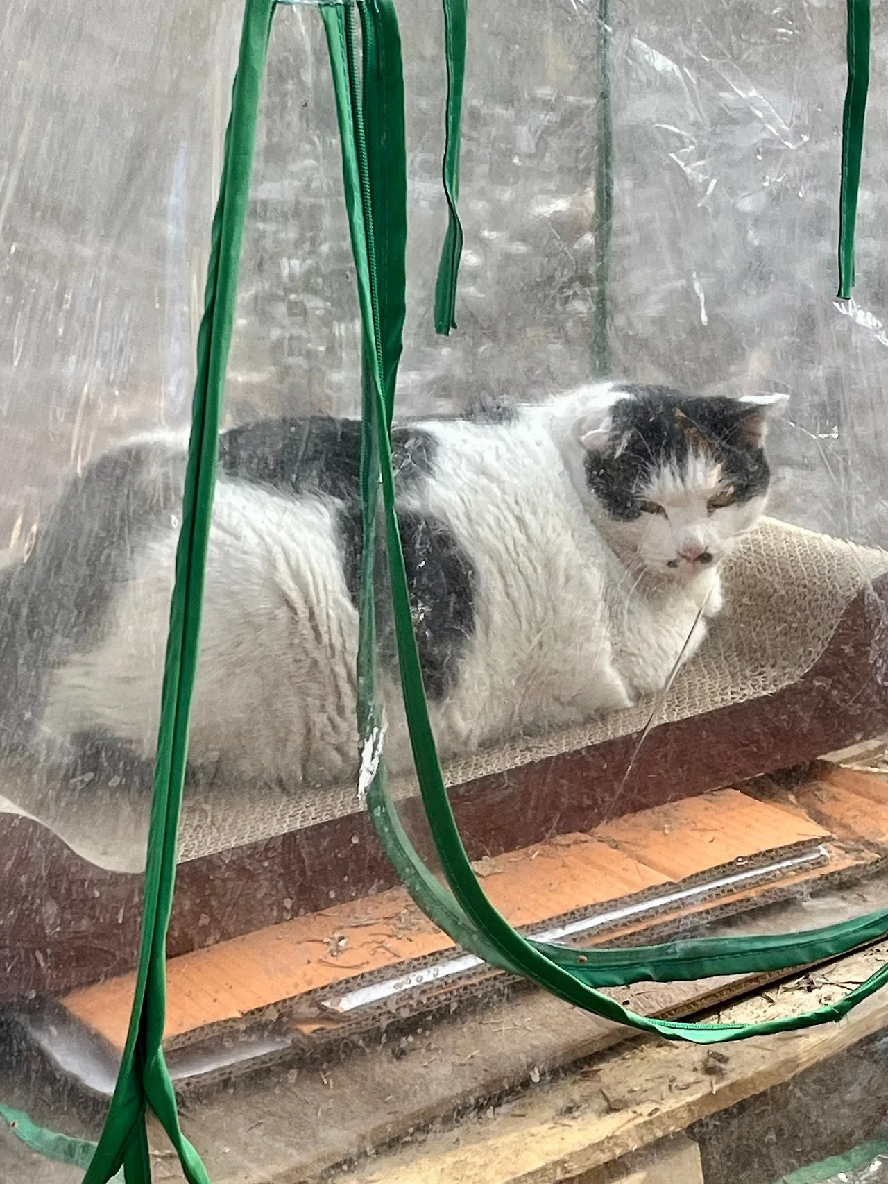 IMG%EF%BC%BF1749.jpg?type=w1600