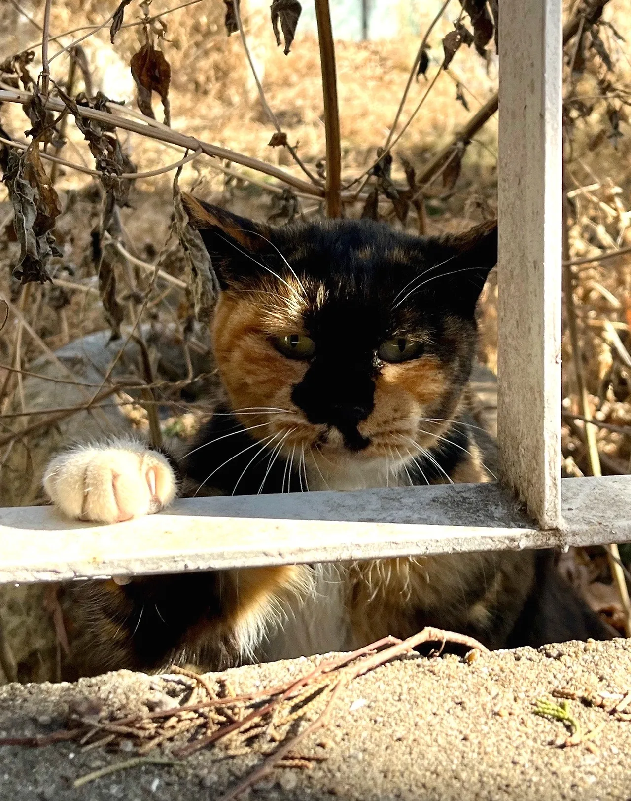 output%EF%BC%BF1002207101.jpg?type=w1600