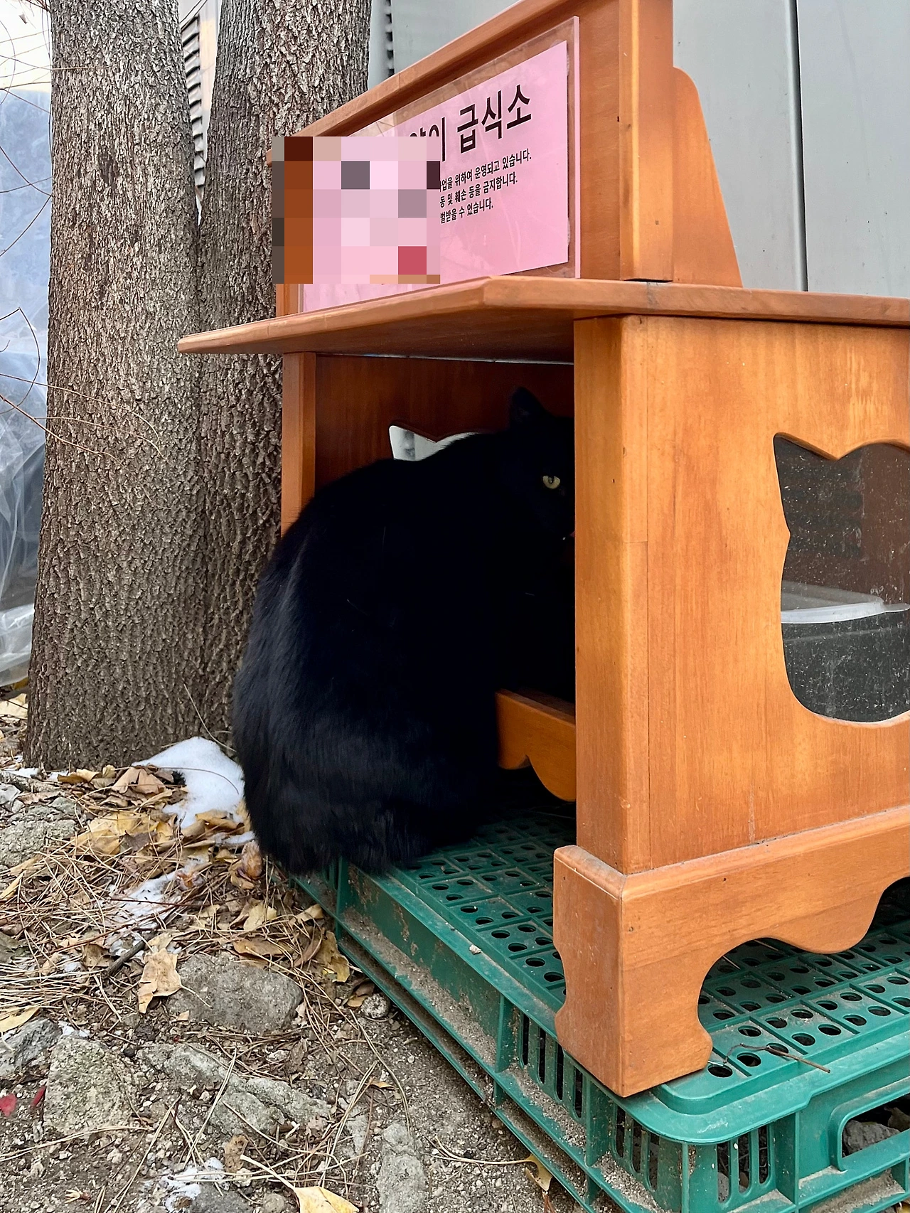 IMG%EF%BC%BF2246.jpg?type=w1600