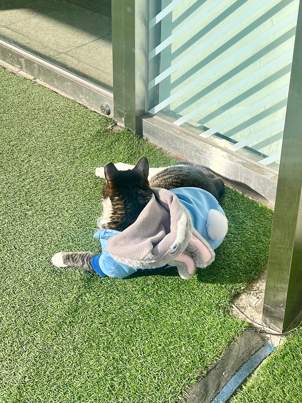 IMG%EF%BC%BF2264.jpg?type=w1600