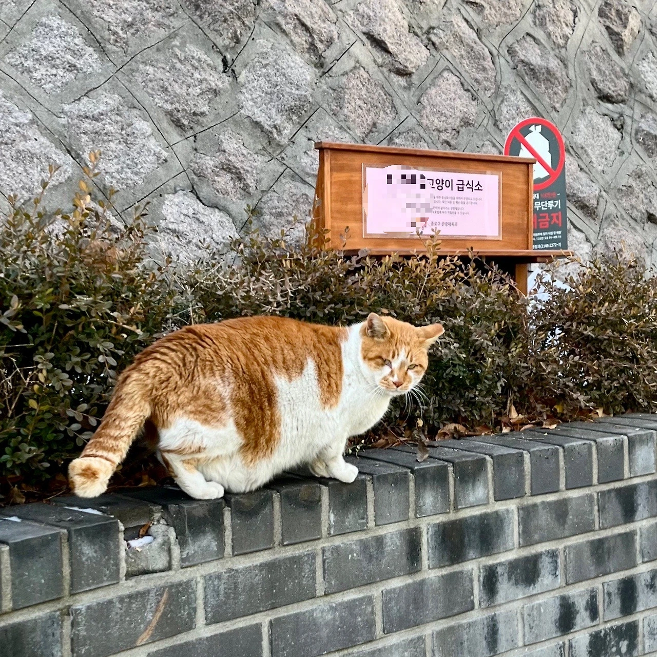 output%EF%BC%BF445650806.jpg?type=w1600