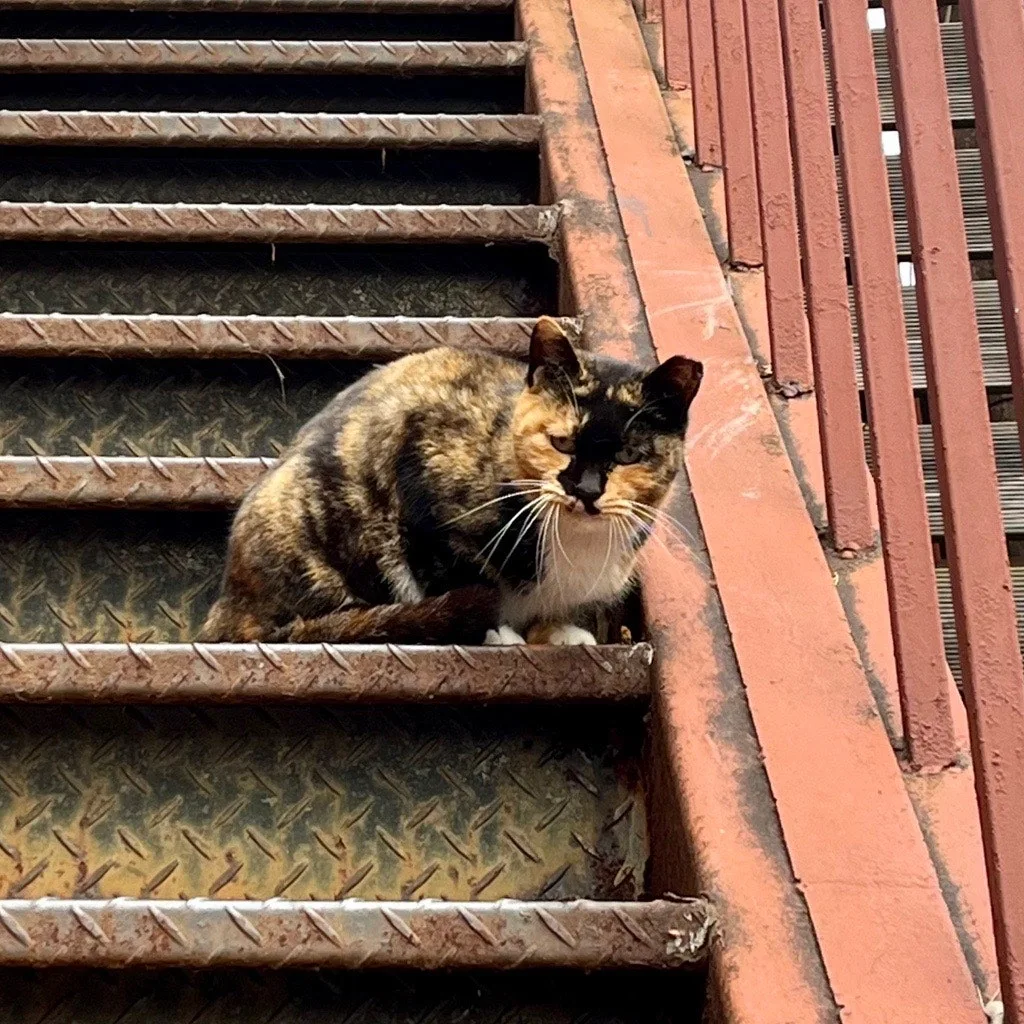 output%EF%BC%BF60370264.jpg?type=w1600