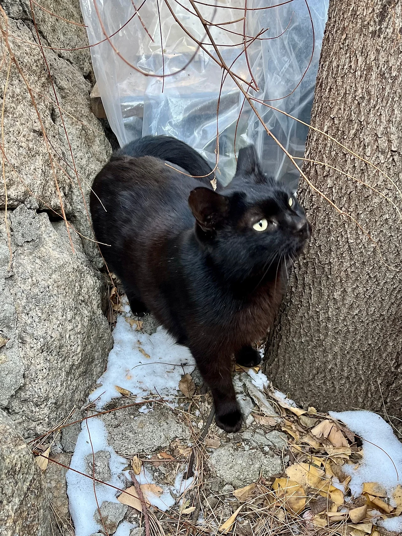 IMG%EF%BC%BF2239.jpg?type=w1600