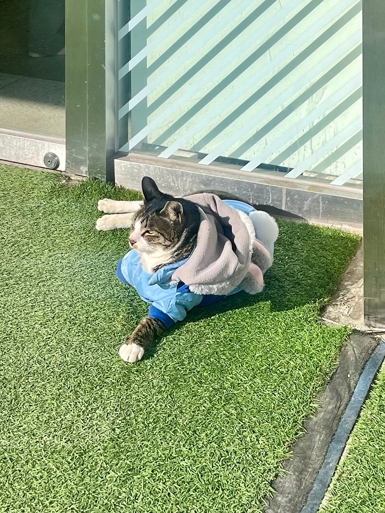 IMG%EF%BC%BF2256.jpg?type=w1600