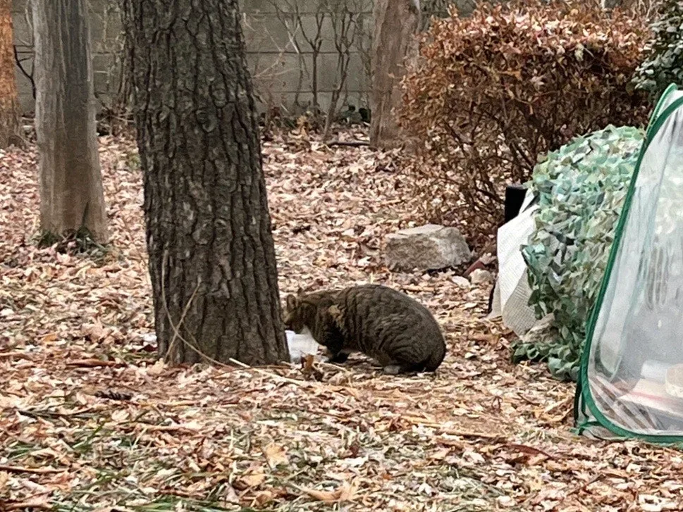 output%EF%BC%BF2316924927.jpg?type=w1600