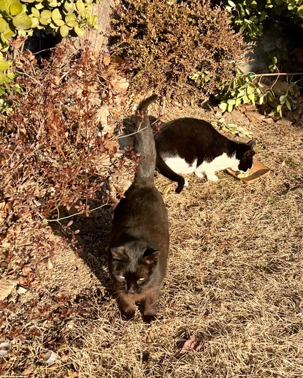 output%EF%BC%BF730566324.jpg?type=w1600