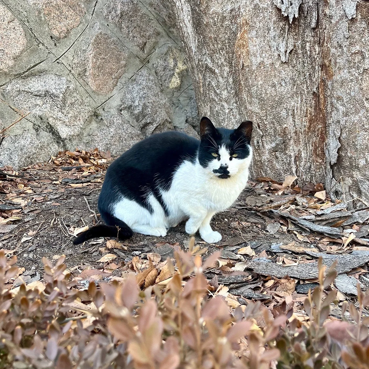 output%EF%BC%BF3635446178.jpg?type=w1600