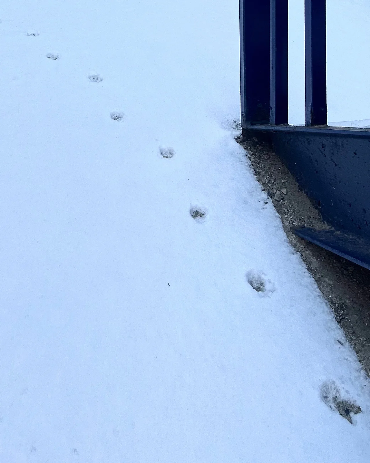 output%EF%BC%BF2494588823.jpg?type=w1600