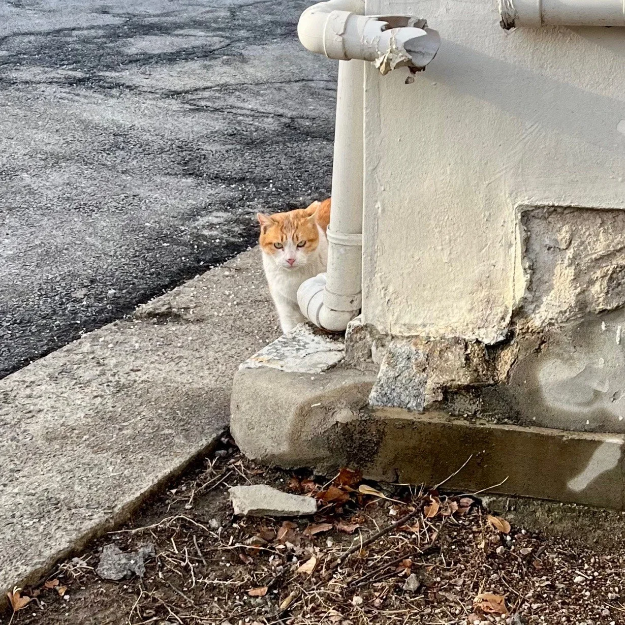 output%EF%BC%BF2406990867.jpg?type=w1600