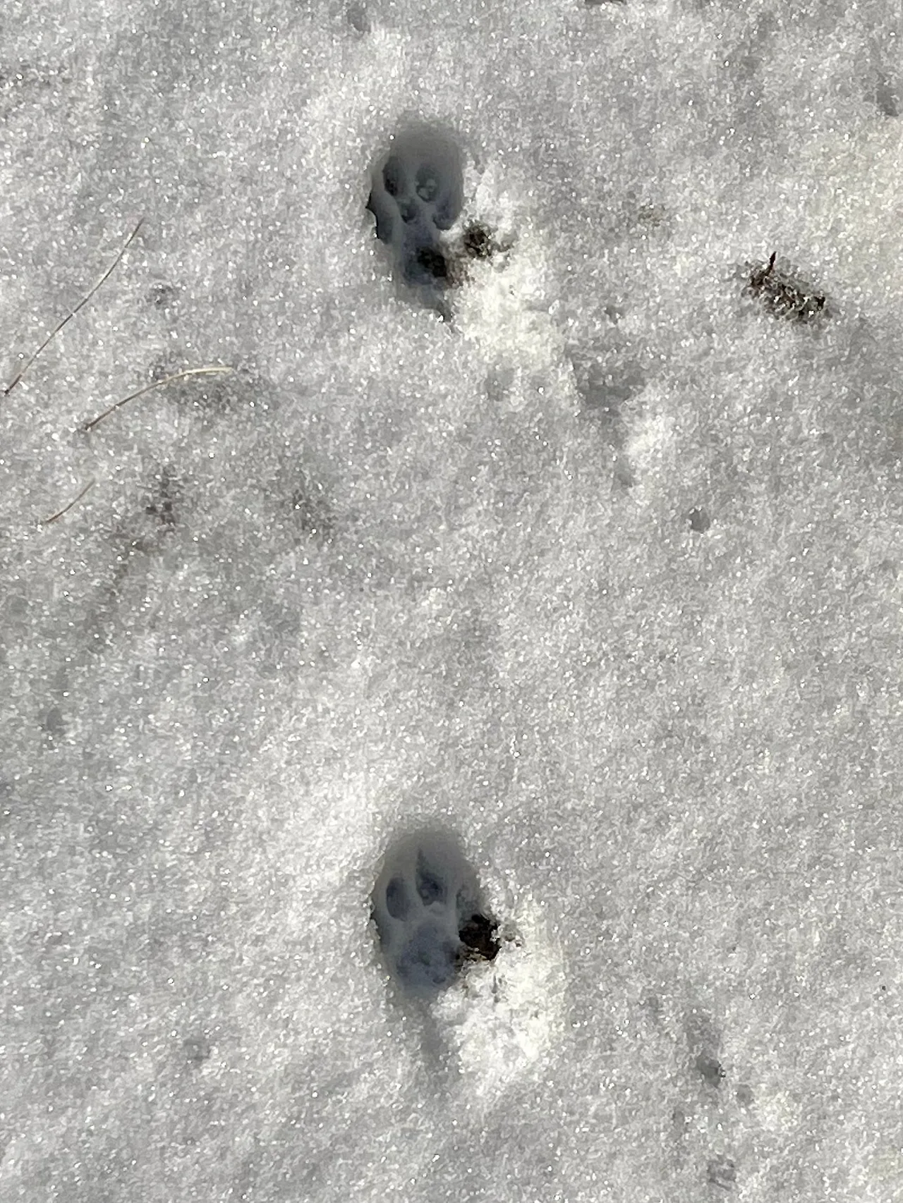 IMG%EF%BC%BF1435.jpg?type=w1600