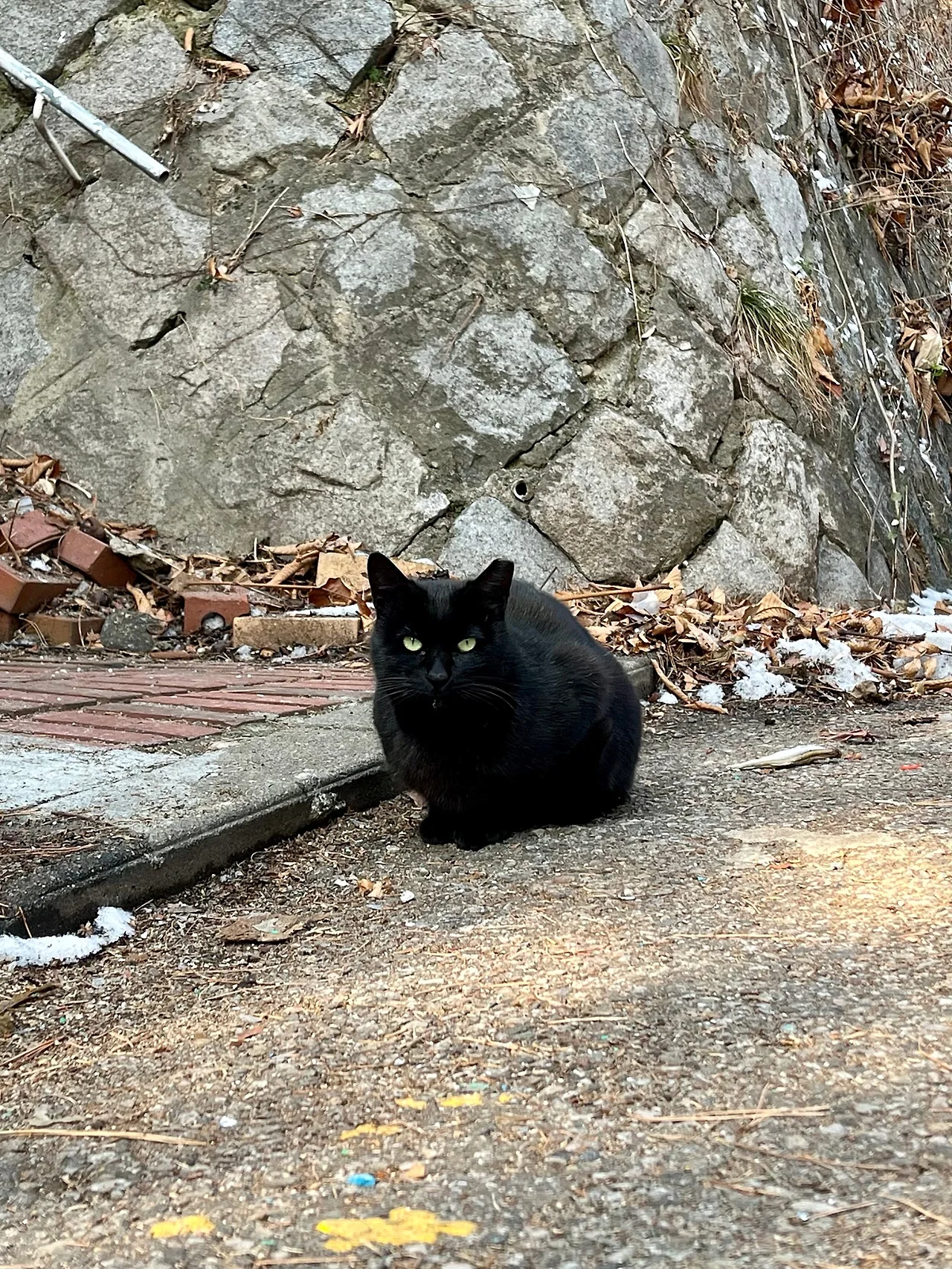 IMG%EF%BC%BF1505.jpg?type=w1600